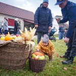 Letošní úroda ovoce je dobrá. Porota v Jámě hodnotila 68 vzorků jablek