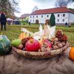 Letošní úroda ovoce je dobrá. Porota v Jámě hodnotila 68 vzorků jablek