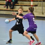 Jihočeská liga minižactva v házené pokračovala ve Strakonicích
