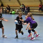 Jihočeská liga minižactva v házené pokračovala ve Strakonicích