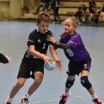 Jihočeská liga minižactva v házené pokračovala ve Strakonicích