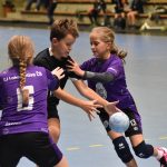 Jihočeská liga minižactva v házené pokračovala ve Strakonicích