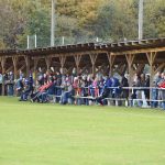 Katovice poprvé padly doma, tři body si odvezla Planá