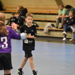 Jihočeská liga minižactva v házené pokračovala ve Strakonicích