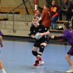 Jihočeská liga minižactva v házené pokračovala ve Strakonicích