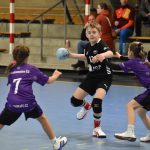 Jihočeská liga minižactva v házené pokračovala ve Strakonicích