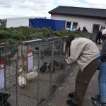 Výstavní premiéra nové haly. Chovatelé přivezli do Záhoří skoro 800 kusů drobného zvířectva