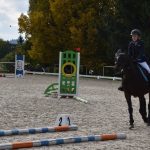 V Zemském hřebčinci v Písku se ukázaly jezdecké naděje