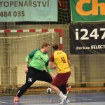 Nadějný náskok neudržely. Strakonice prohrály s Duklou 31:32