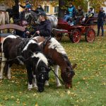 Hubertská jízda přilákala do Zálší čtyřicítku koní a deset spřežení