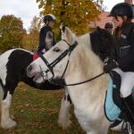 Hubertská jízda přilákala do Zálší čtyřicítku koní a deset spřežení
