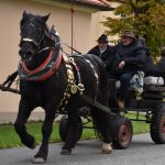 Hubertská jízda přilákala do Zálší čtyřicítku koní a deset spřežení