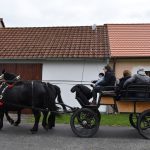 Hubertská jízda přilákala do Zálší čtyřicítku koní a deset spřežení