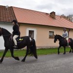 Hubertská jízda přilákala do Zálší čtyřicítku koní a deset spřežení