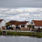 Hubertská jízda přilákala do Zálší čtyřicítku koní a deset spřežení