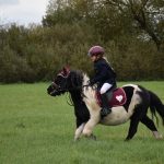 Hubertská jízda přilákala do Zálší čtyřicítku koní a deset spřežení