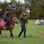 Hubertská jízda přilákala do Zálší čtyřicítku koní a deset spřežení