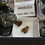 VIDEO: V Bechyni lidé proudili na Burzu minerálů