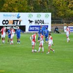 VIDEO: Táborsko neprohrálo už podeváté v řadě. Bod zachránil čtvrt hodiny před koncem Varačka