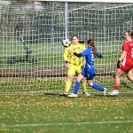 VIDEO: Fotbalistky Táborska poprvé v sezoně ztratily. O podzimním mistrovi rozhodne zřejmě až poslední kolo