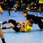 Z nadějného začátku se stala další porážka. Zubří bylo nad síly Strakonic