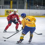 Vyrovnanou partii mezi Králi a Bruslaři rozhodl zkušený Lukáš Endál
