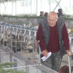 Výstavní premiéra nové haly. Chovatelé přivezli do Záhoří skoro 800 kusů drobného zvířectva