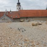Městská knihovna v Písku pořádala den otevřených dveří. Pozvala i do neveřejných prostor