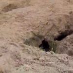 VIDEO: Policisté přistihli od léta desítky lidí při hledání vzácných vltavínů
