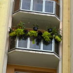 Budějovická soutěž Rozkvetlé město zná vítěze