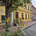 Budějovická soutěž Rozkvetlé město zná vítěze
