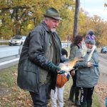 Výlov Horusického rybníka po povodních: I samotní rybáři jsou zvědaví, kolik ryb zůstalo