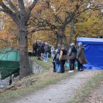 Výlov Horusického rybníka po povodních: I samotní rybáři jsou zvědaví, kolik ryb zůstalo