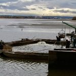 Výlov Horusického rybníka po povodních: I samotní rybáři jsou zvědaví, kolik ryb zůstalo