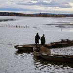 Výlov Horusického rybníka po povodních: I samotní rybáři jsou zvědaví, kolik ryb zůstalo