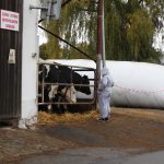 V Měšicích se oslavovalo zemědělství, zahrádkáři mluví o nejistotě