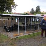 V Soběslavi soutěžili chovatelé králíků, drůbeže, holubů i exotického ptactva. Na výstavu přišlo přes tisíc lidí