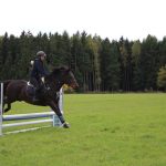 Hubertská jízda v Horním Bukovsku byla téměř bez koní. Účastníci si ji přesto užili naplno