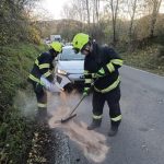 Vítr na jihu Čech láme stromy. Na Prachaticku do jednoho narazilo auto