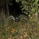 Jen pro odvážné. Na strašidelné stezce v Nemějicích se bály děti i dospělí