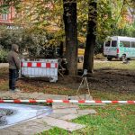 Na Sadech v Českých Budějovicích ozdravují stromy