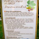 Na Sadech v Českých Budějovicích ozdravují stromy