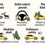 Na Jindřichohradecku se vozidlo střetlo s koněm. Od půlnoci došlo už k 20 nehodám se zvěří
