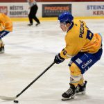 Tři body pro Písek, ústečtí Lvi byli neškodní