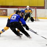 Juniorka Králů si poradila s Havířovem