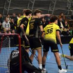 Rychlé vedení Liškám body nepřineslo, radoval se Havířov