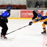 Juniorka Králů si poradila s Havířovem