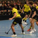 Rychlé vedení Liškám body nepřineslo, radoval se Havířov