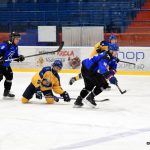 Juniorka Králů si poradila s Havířovem