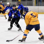 Juniorka Králů si poradila s Havířovem